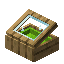 Lime Oak Display Case