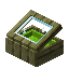 Lime Cypress Display Case