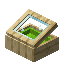 Lime Palm Display Case