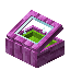 Lime Pink Bioshroom Display Case