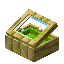 Lime Yellow Bioshroom Display Case