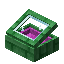 Magenta Green Enchanted Display Case