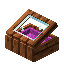 Magenta Zelkova Display Case
