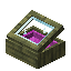 Magenta Jinglestem Display Case