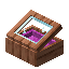 Magenta Eucalyptus Display Case