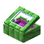 Magenta Green Bioshroom Display Case
