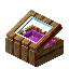 Magenta Socotra Display Case