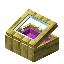 Magenta Yellow Bioshroom Display Case