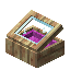 Magenta Mangrove Display Case