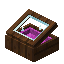 Magenta Sorting Display Case