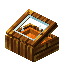Orange Aurum Display Case