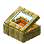 Orange Yellow Bioshroom Display Case