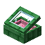 Pink Green Enchanted Display Case