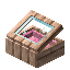 Pink Baobab Display Case