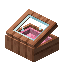 Pink Eucalyptus Display Case