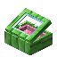 Pink Green Bioshroom Display Case