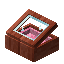 Pink Redwood Display Case