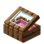 Pink Socotra Display Case