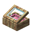 Pink Mangrove Display Case