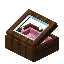 Pink Sorting Display Case