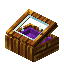 Purple Aurum Display Case