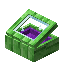 Purple Green Bioshroom Display Case