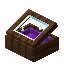 Purple Sorting Display Case