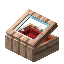 Red Baobab Display Case