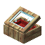 Red Mangrove Display Case