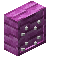 Pink Bioshroom Tool Rack