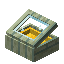 Yellow Echo Display Case