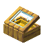 Yellow Cradlewood Display Case