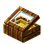 Yellow Aurum Display Case