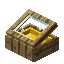 Yellow Alpha Display Case