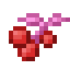 Comet Berries