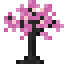 Comet Sapling