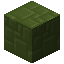 Medium Chaotic Green Concrete