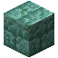 Cracked Prismarine Bricks