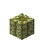Мускусная дыня