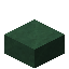 Greenschist Slab