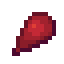 Fire Coral Larva
