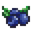 Blueberry