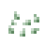 Cucumber Seeds