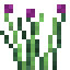 Chives