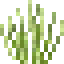 Lemongrass