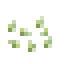 Green Pepper Seeds