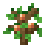 Peach Fruit Sapling