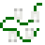 Classic Lights White