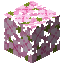 Вишнёвые листья