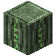 Ruina Special Dungeon Pillar
